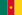 Flag of Cameroon